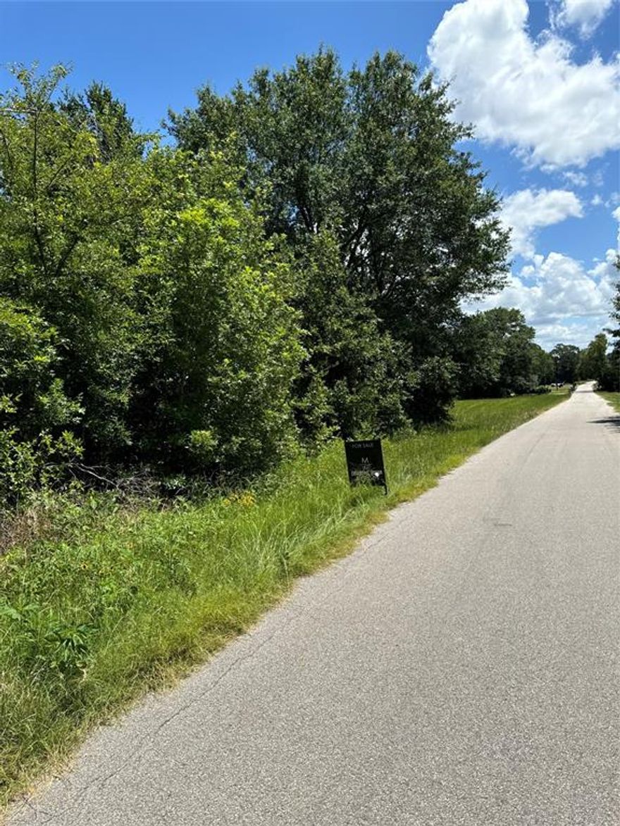 This lot is in an ideal location to build your dream lake home on. Great neighborhood with community boat ramp close by. Lot is a really good size with nice trees and close by are schools, shopping & restaurants. No need to wait to build your dream lake home, your lot is waiting for you!