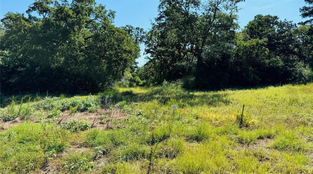 tbd Tract 10 County Road 2925
