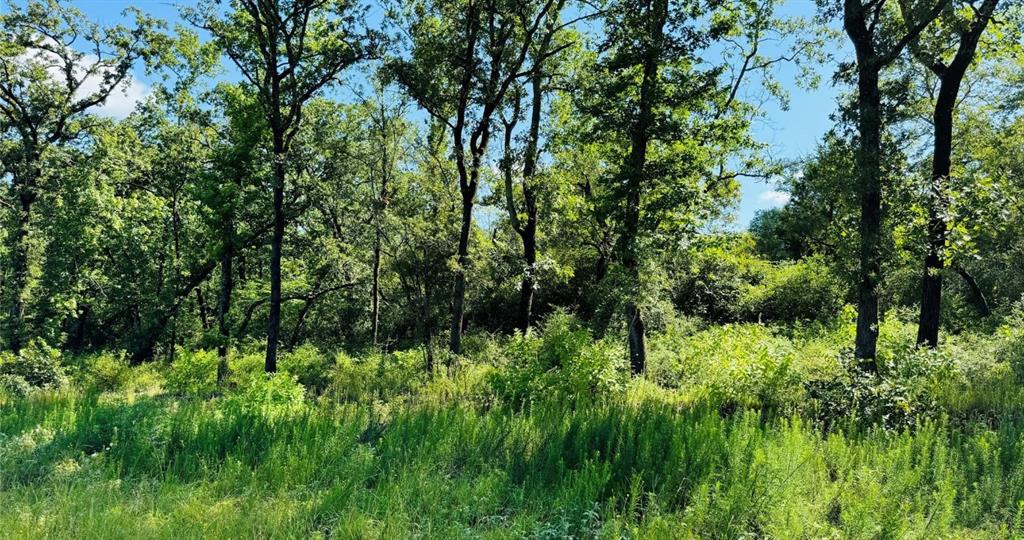 tbd Tract 10 County Road 2925
