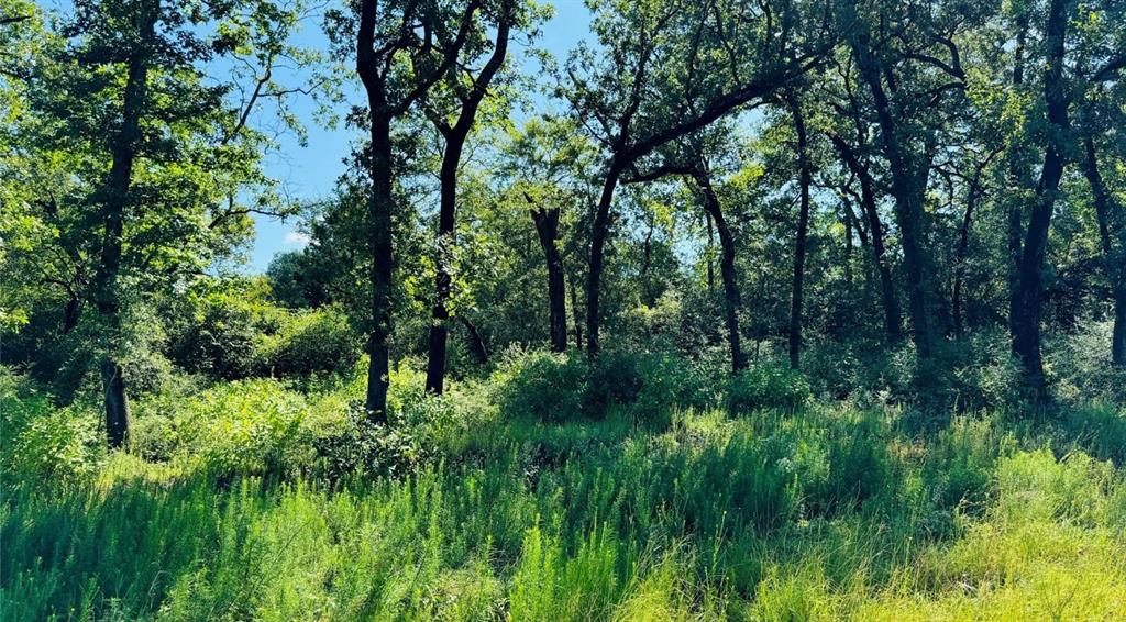 tbd Tract 10 County Road 2925