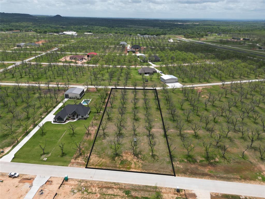 Pecan Plantation - Land