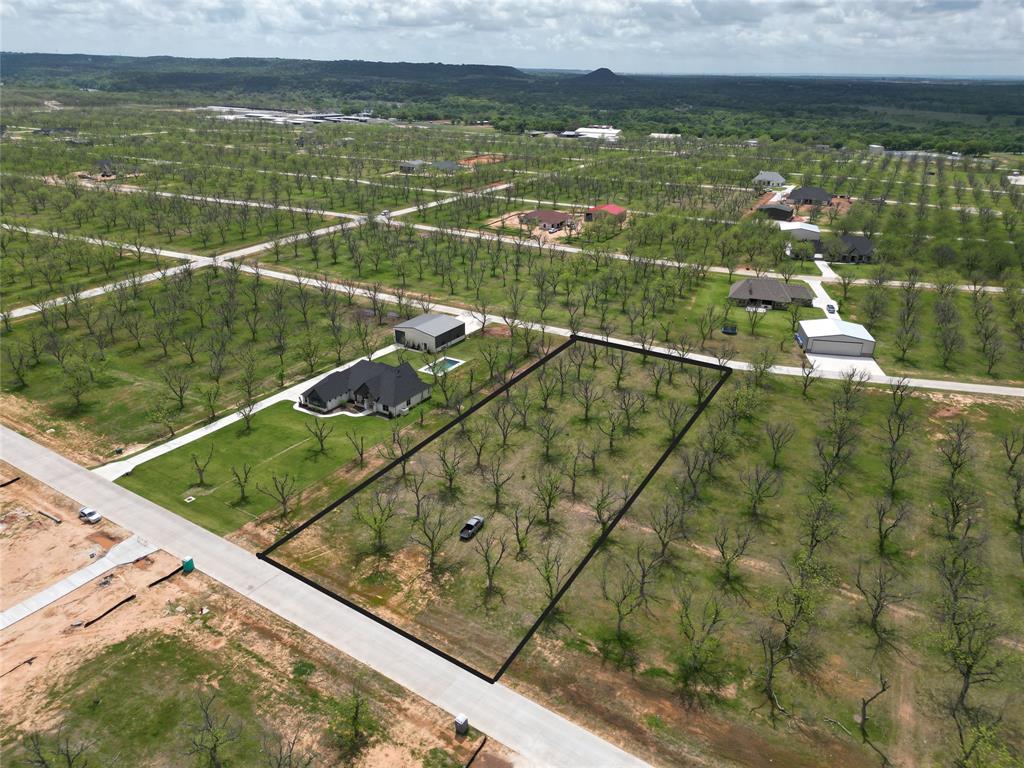 Pecan Plantation - Land