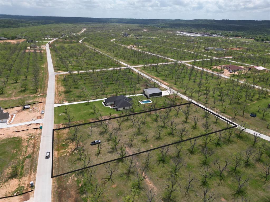 Pecan Plantation - Land