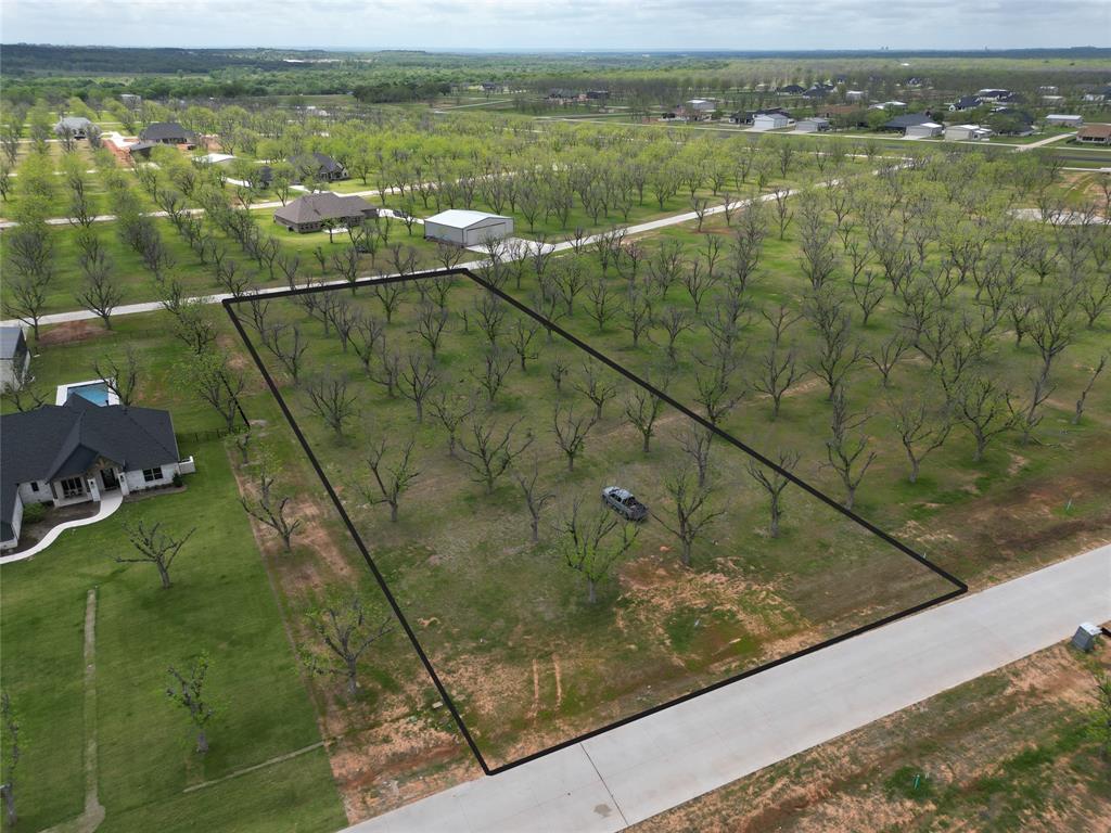 Pecan Plantation - Land