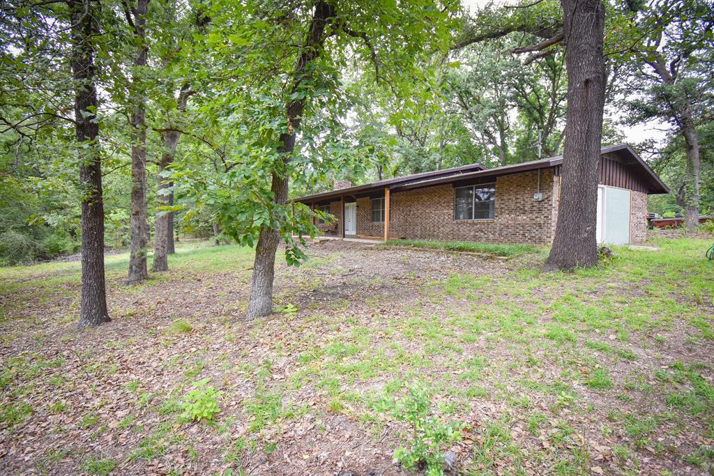 408 Tarrapin
