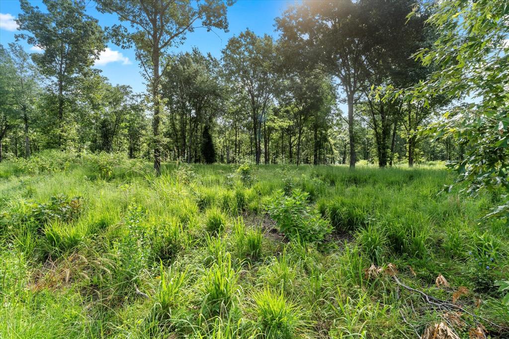 Angler Shores - Land