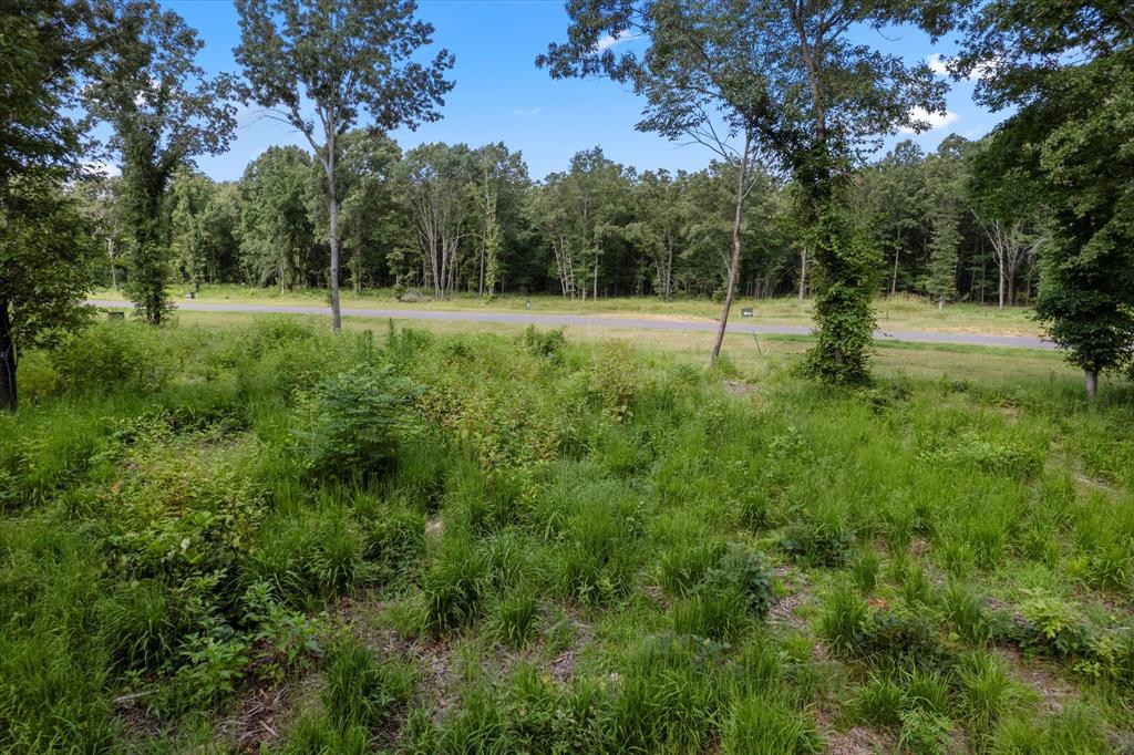 Angler Shores - Land