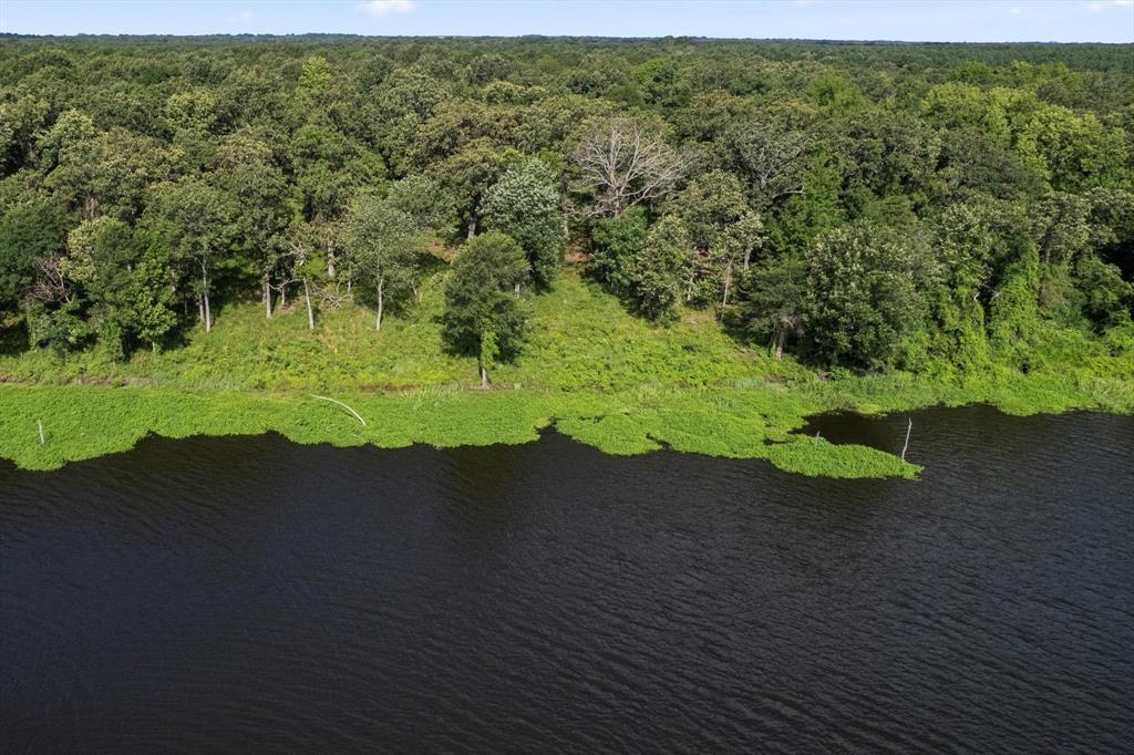 Angler Shores - Land