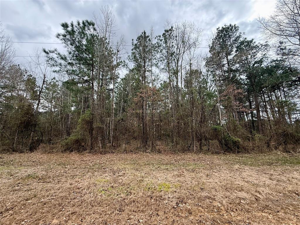 TBD Ranchland Drive
