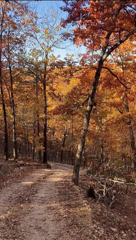 SECTION 36, OF TOWNSHIP 22 NORTH, RANGE 21 WEST, A - Land