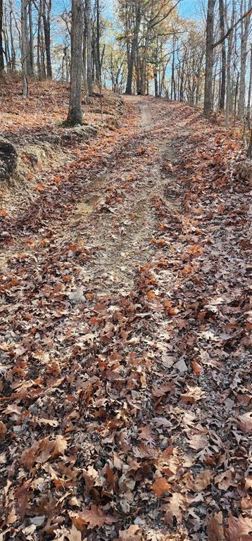 SECTION 36, OF TOWNSHIP 22 NORTH, RANGE 21 WEST, A - Land