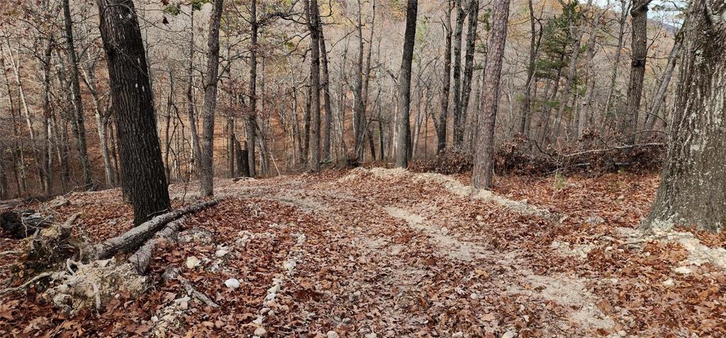 SECTION 36, OF TOWNSHIP 22 NORTH, RANGE 21 WEST, A - Land