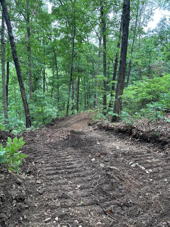 SECTION 36, OF TOWNSHIP 22 NORTH, RANGE 21 WEST, A - Land