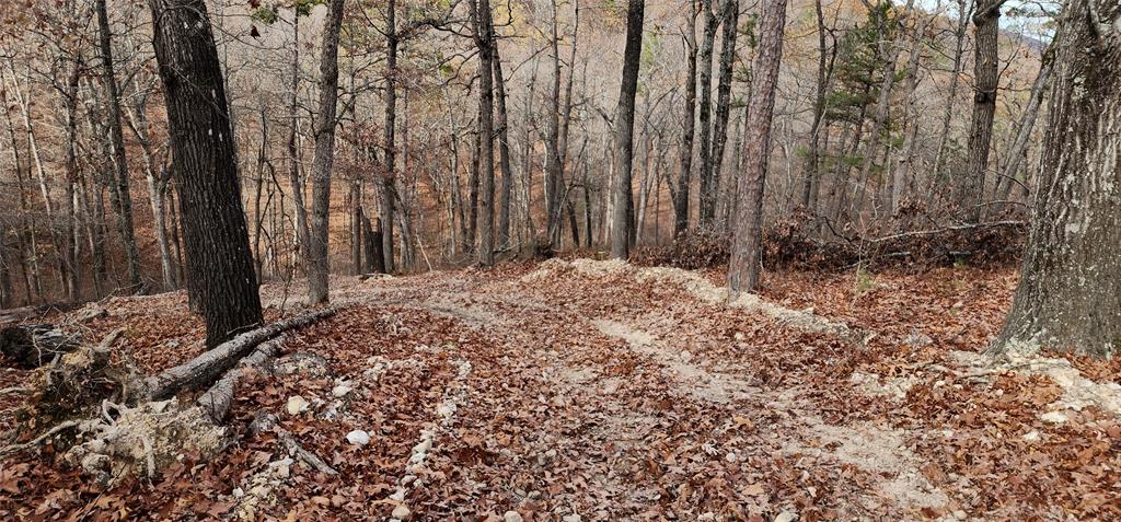 SECTION 36, OF TOWNSHIP 22 NORTH, RANGE 21 WEST, A - Land