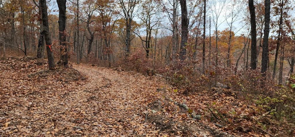 SECTION 36, OF TOWNSHIP 22 NORTH, RANGE 21 WEST, A - Land