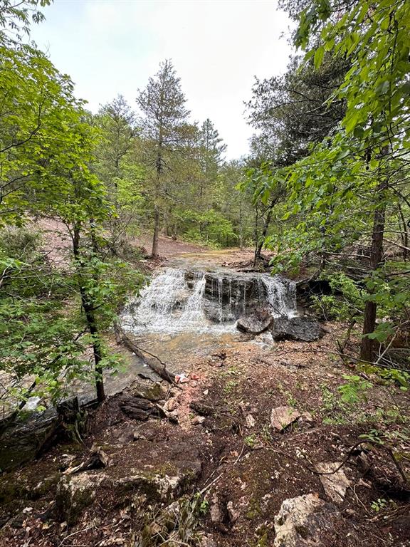 SECTION 36, OF TOWNSHIP 22 NORTH, RANGE 21 WEST, A - Land