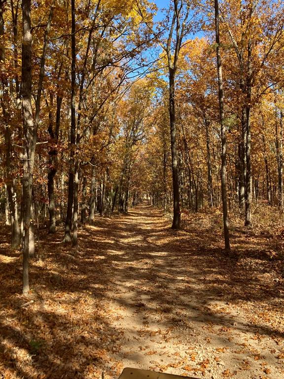 SECTION 36, OF TOWNSHIP 22 NORTH, RANGE 21 WEST, A - Land