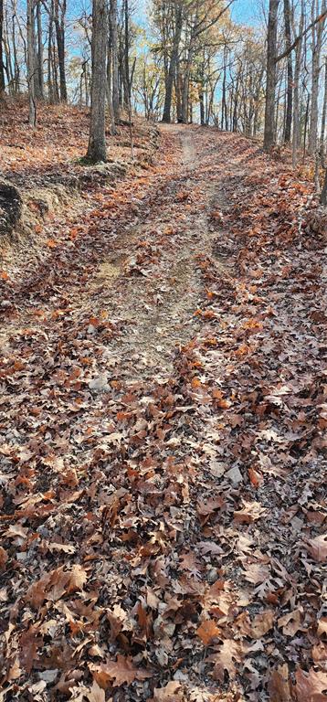 SECTION 36, OF TOWNSHIP 22 NORTH, RANGE 21 WEST, A - Land