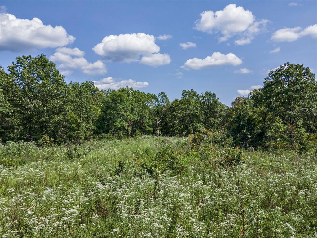 SECTION 36, OF TOWNSHIP 22 NORTH, RANGE 21 WEST, A - Land