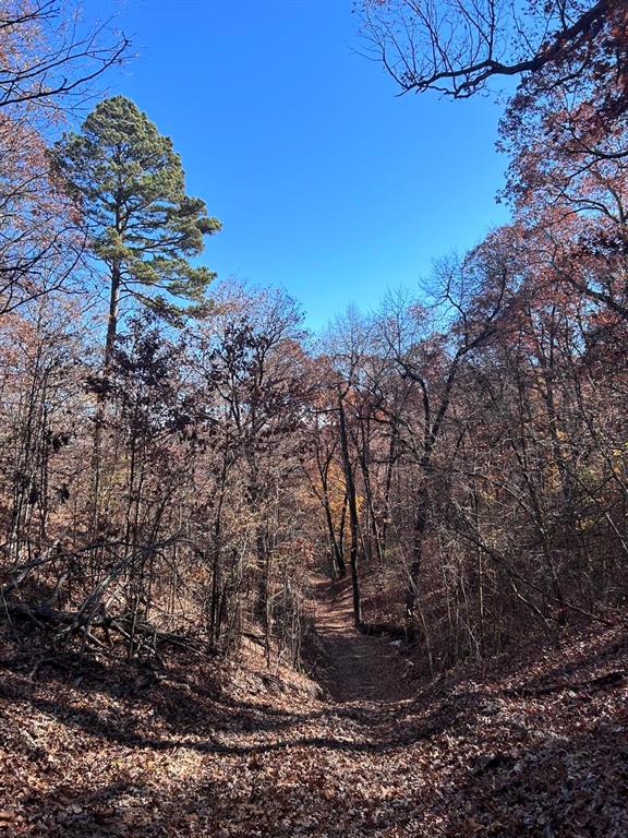 SECTION 36, OF TOWNSHIP 22 NORTH, RANGE 21 WEST, A - Land