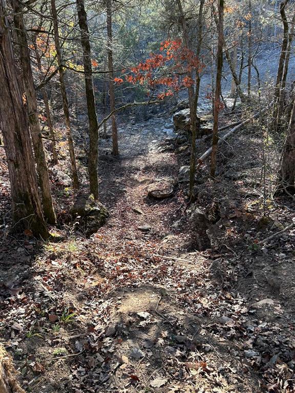 SECTION 36, OF TOWNSHIP 22 NORTH, RANGE 21 WEST, A - Land