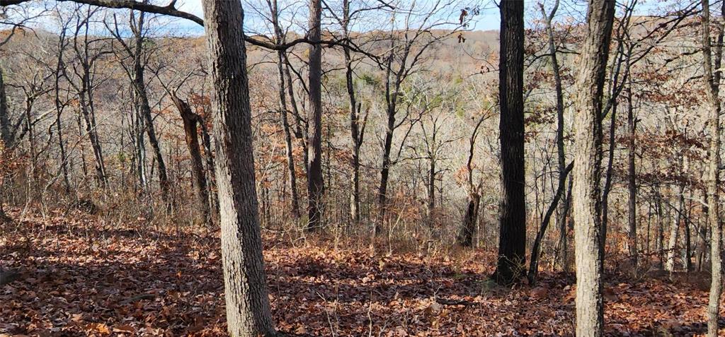 SECTION 36, OF TOWNSHIP 22 NORTH, RANGE 21 WEST, A - Land