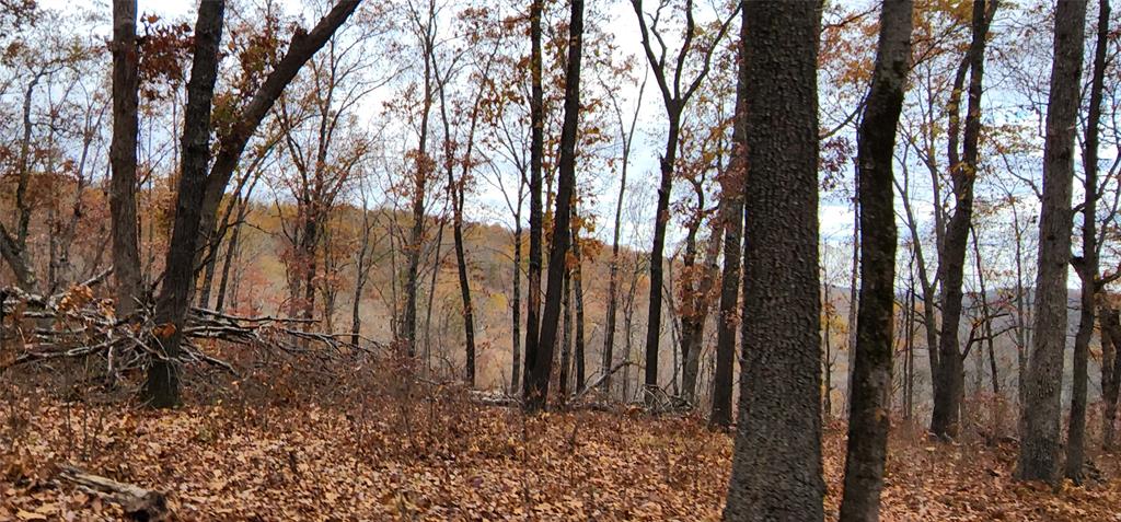 SECTION 36, OF TOWNSHIP 22 NORTH, RANGE 21 WEST, A - Land