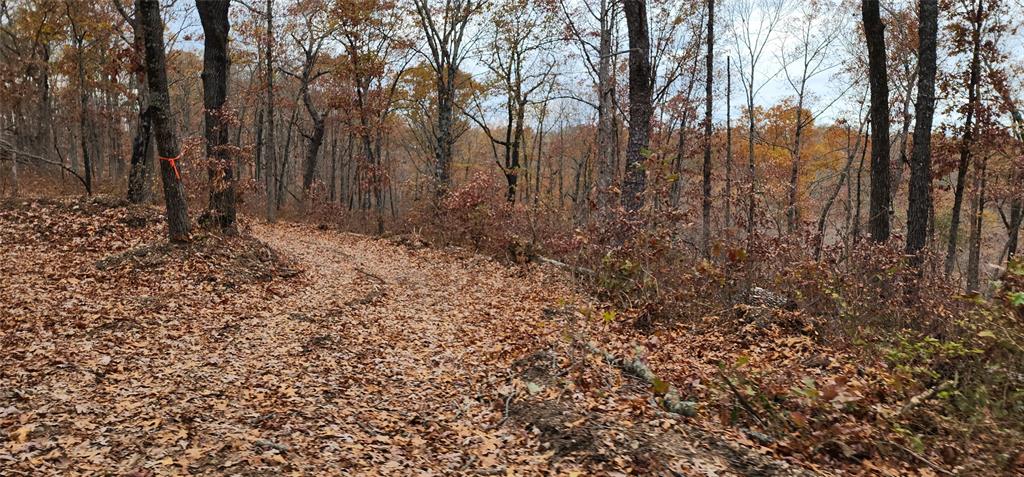 SECTION 36, OF TOWNSHIP 22 NORTH, RANGE 21 WEST, A - Land