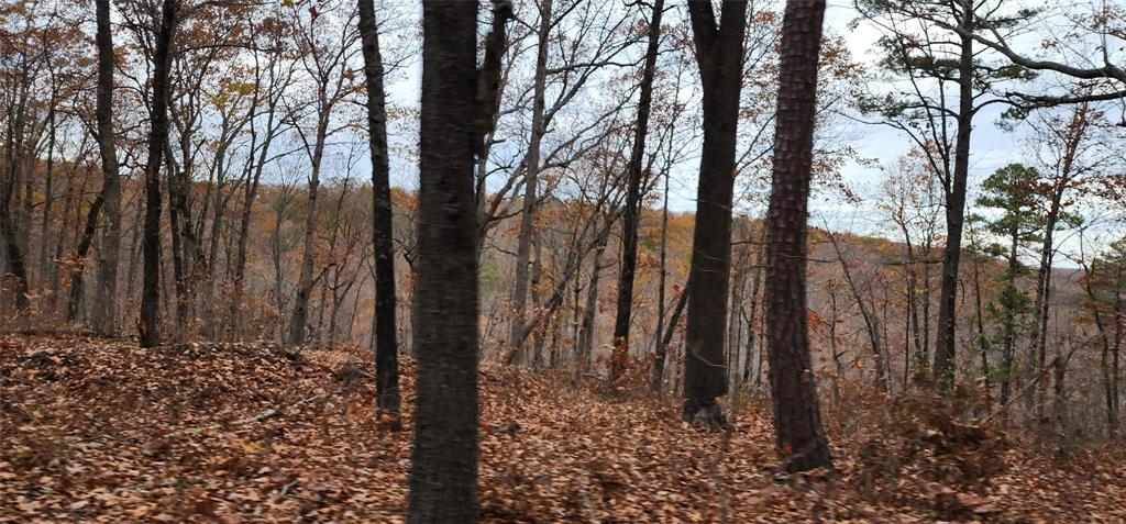 SECTION 36, OF TOWNSHIP 22 NORTH, RANGE 21 WEST, A - Land