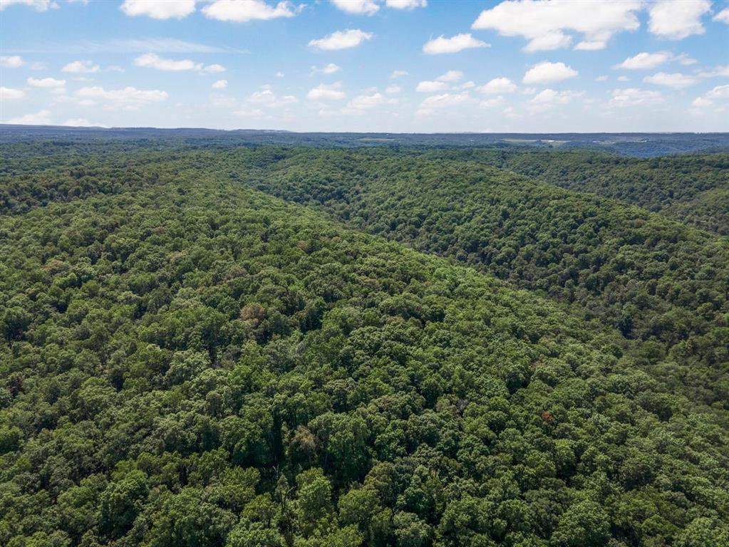 SECTION 36, OF TOWNSHIP 22 NORTH, RANGE 21 WEST, A - Land