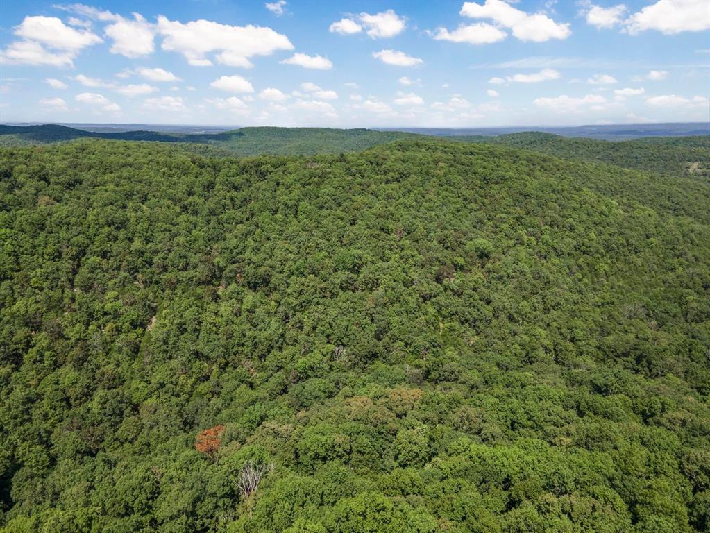 SECTION 36, OF TOWNSHIP 22 NORTH, RANGE 21 WEST, A - Land