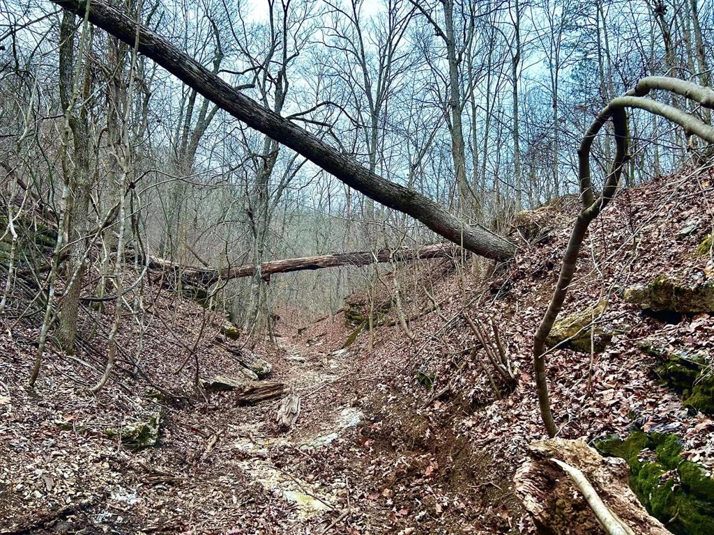 SECTION 36, OF TOWNSHIP 22 NORTH, RANGE 21 WEST, A - Land