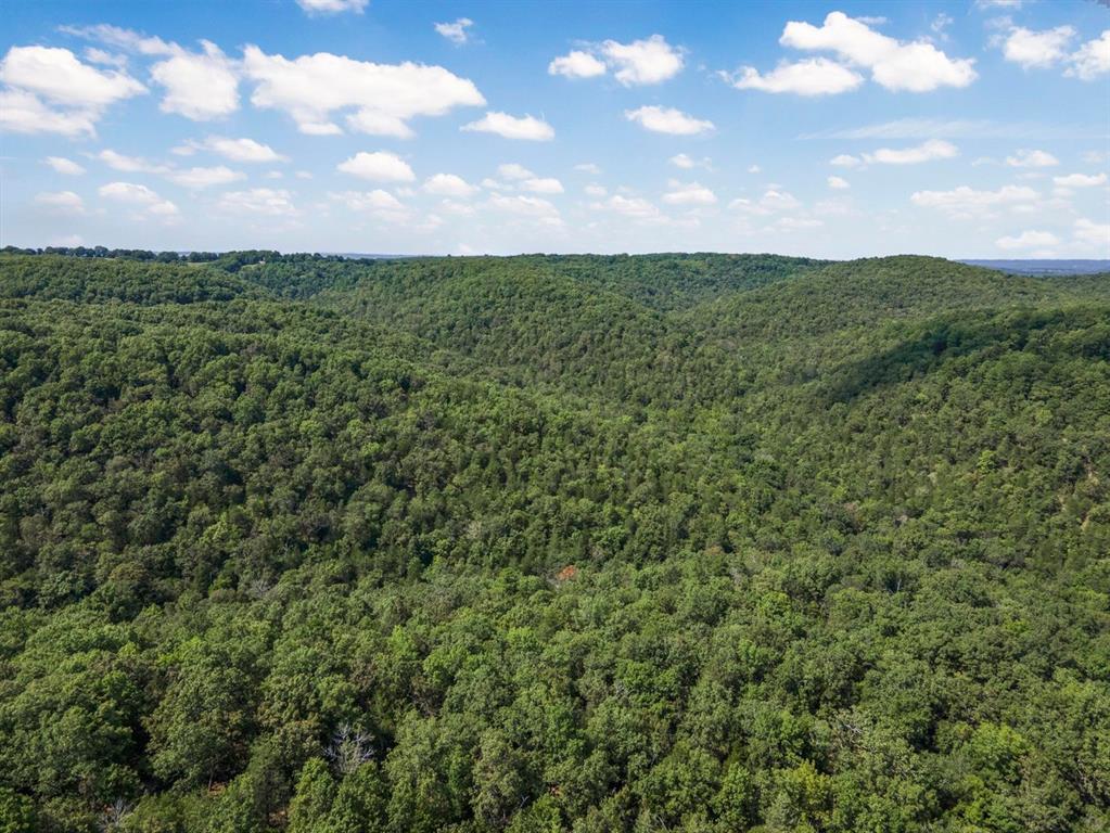 SECTION 36, OF TOWNSHIP 22 NORTH, RANGE 21 WEST, A - Land