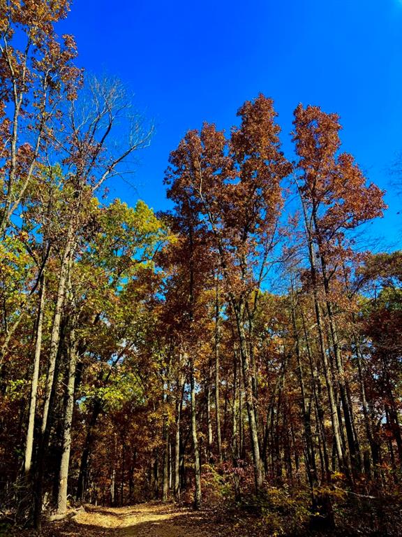 SECTION 36, OF TOWNSHIP 22 NORTH, RANGE 21 WEST, A - Land