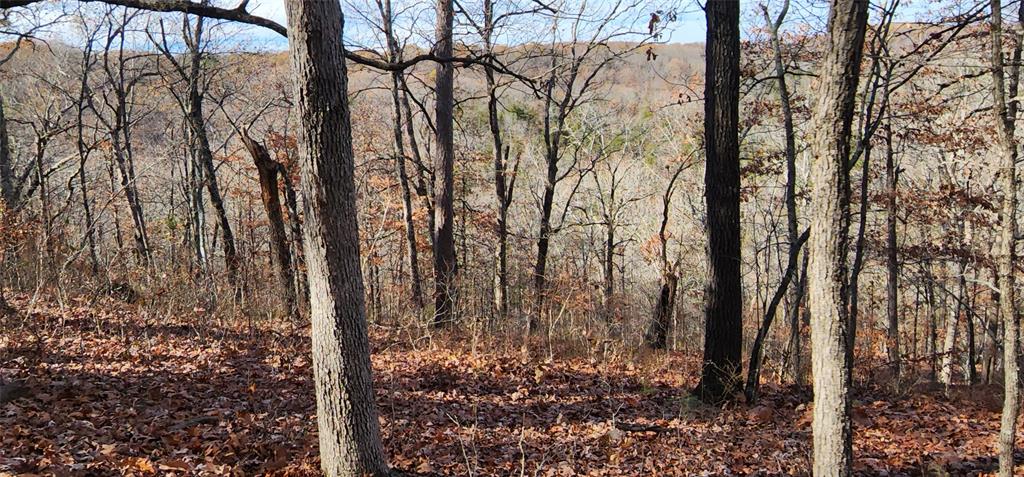 SECTION 36, OF TOWNSHIP 22 NORTH, RANGE 21 WEST, A - Land