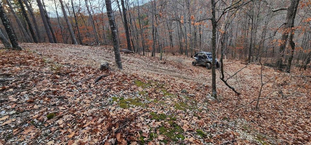 SECTION 36, OF TOWNSHIP 22 NORTH, RANGE 21 WEST, A - Land