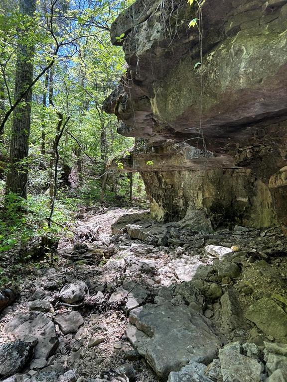 SECTION 36, OF TOWNSHIP 22 NORTH, RANGE 21 WEST, A - Land