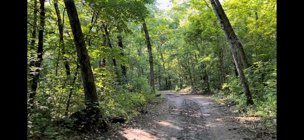 SECTION 36, OF TOWNSHIP 22 NORTH, RANGE 21 WEST, A - Land