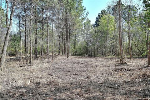 Photo of 0 Collins Road, Nash, TX 75569 (MLS # 21241930)