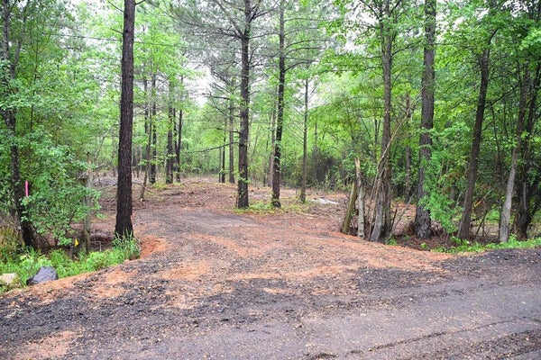 COLLINS RD, TEXARKANA, TX 75503 - Image 13e598c5375b358be8a7eb22fb46caed/3438679136