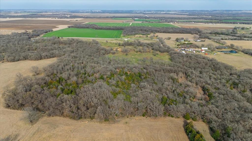 William Ward Surv A-977 - Land