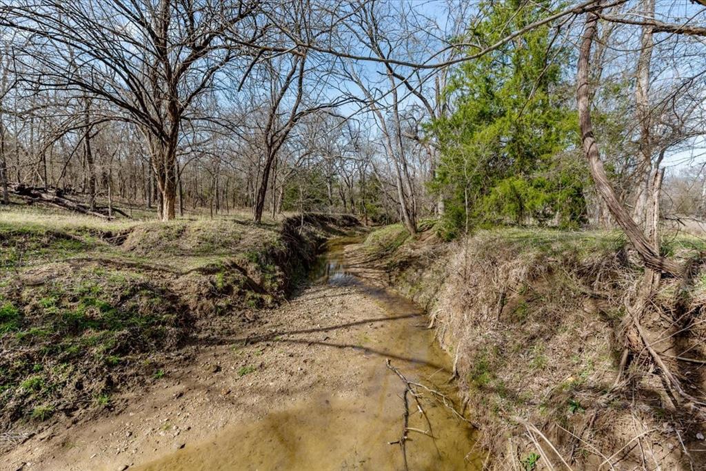 William Ward Surv A-977 - Land