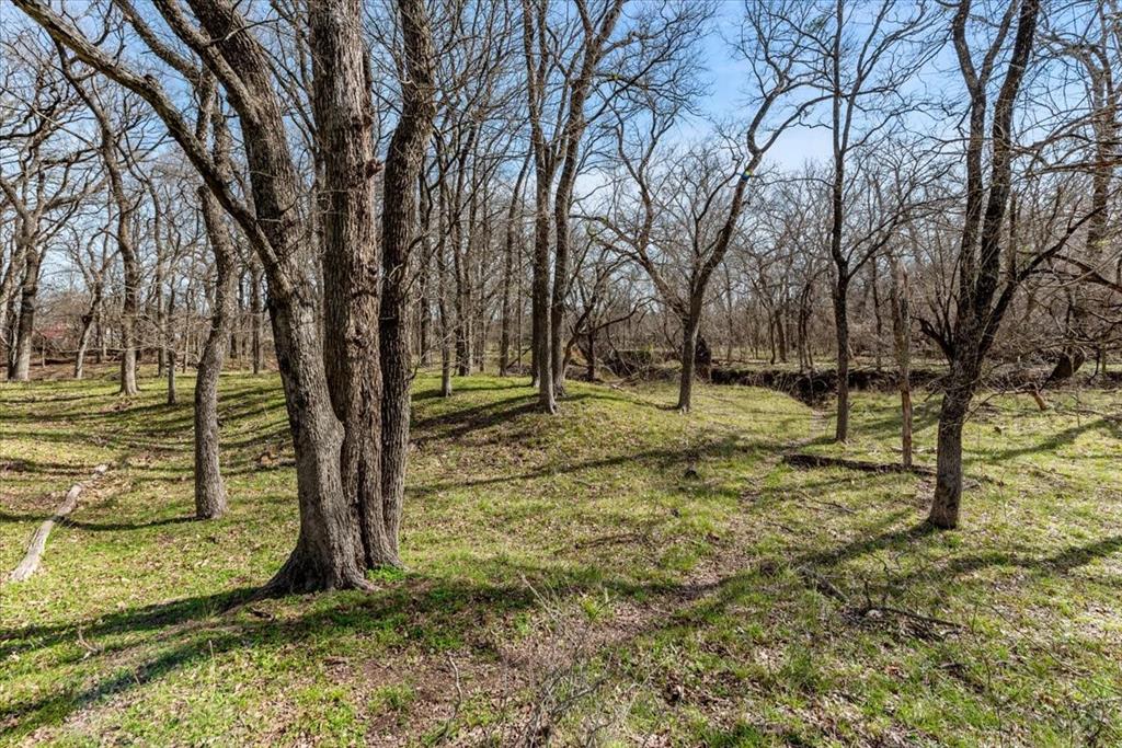 William Ward Surv A-977 - Land