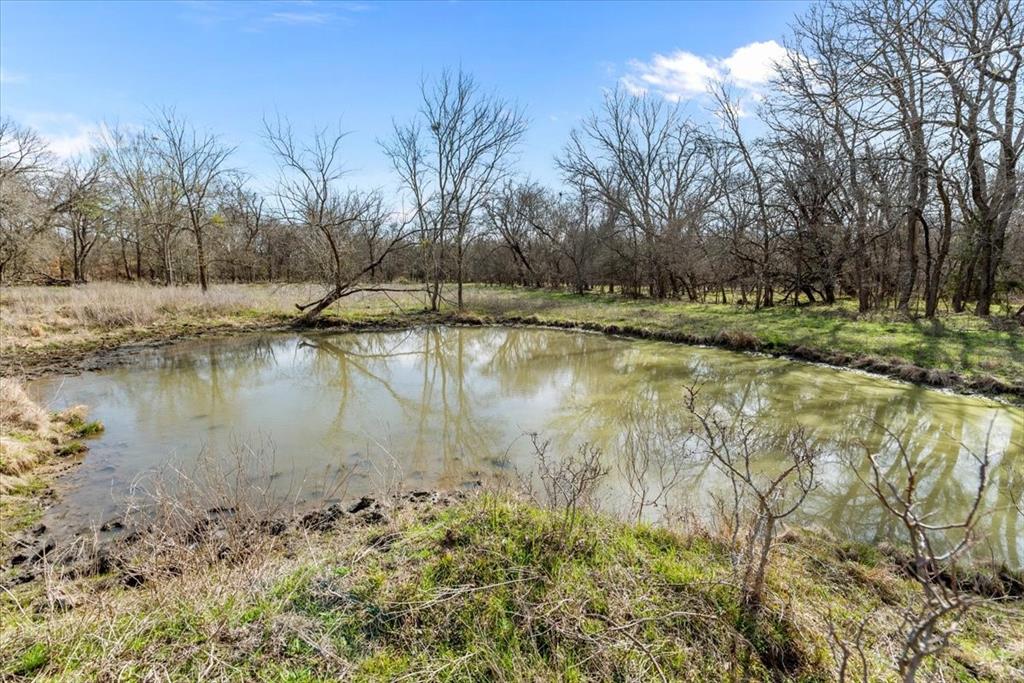 William Ward Surv A-977 - Land