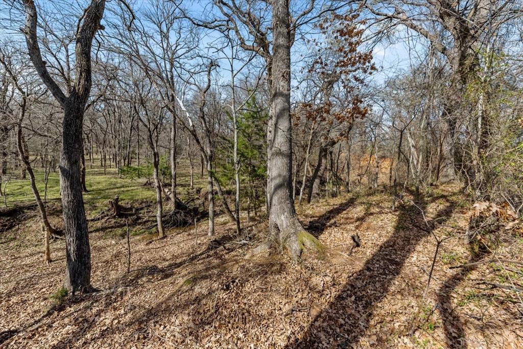 William Ward Surv A-977 - Land