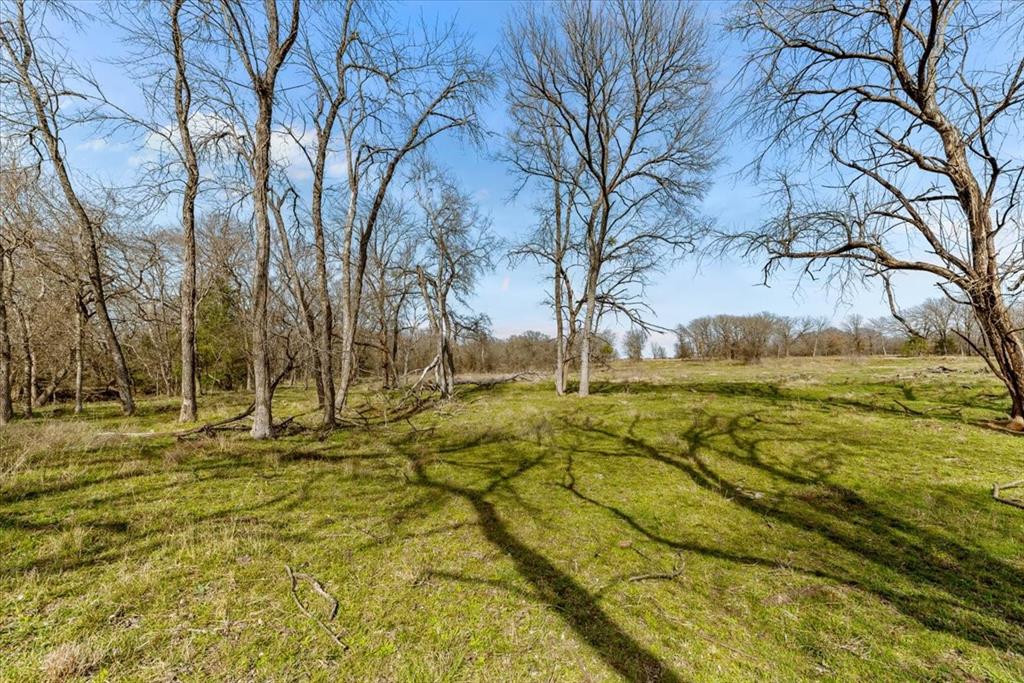 William Ward Surv A-977 - Land