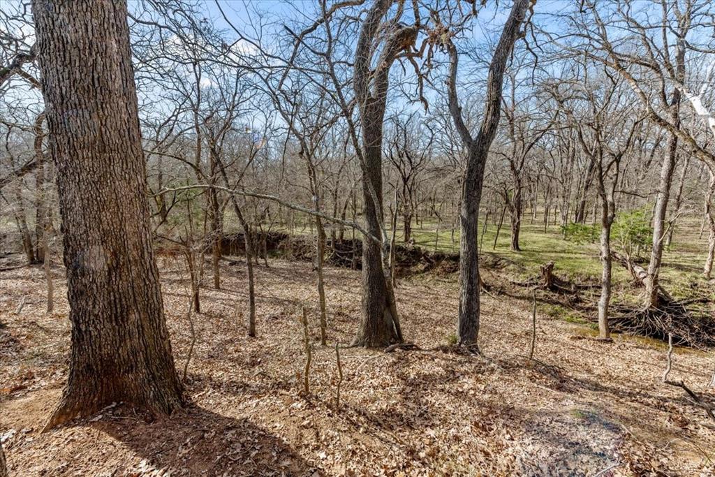 William Ward Surv A-977 - Land