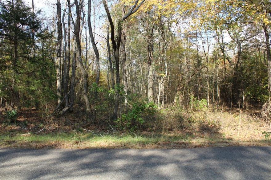 Located in Claiborne Parish, just outside of Minden, these 25 acres are located between Harris Road and Fincher Creek Road.  This expansive property would be ideal for the home you have dreamed of building or for hunting.  This beautiful, peaceful location has nice road frontage on each road so you can choose which side you like better.  There are also @1.7 acres on the other side of Fincher Creek.  Just take a drive out to see this property and you will fall in love with the vibrant color palette and the shower of leaves falling in your path!  Call today for more information, if you wait, you may miss out.