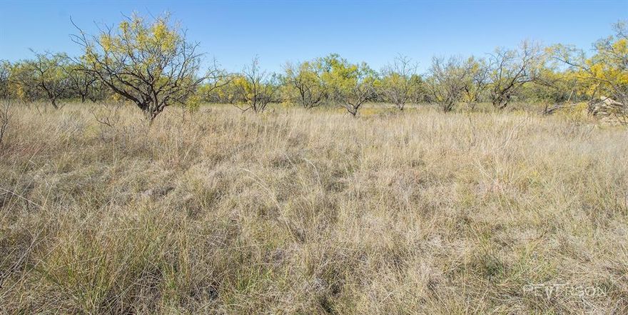 Located just inside the Abilene city limits, this 10 acre property is comprised of sprawling pasture established with good cover and native grasses. Tucked just out of the way on a dead end road, you genuinely get the best of both worlds; convenient access to shopping in town with all the amenities and accommodations of being inside the city limits, without having to miss out on the calm country atmosphere. Great place to build your dream home with space to spread out. The topography would allow water detention improvements for a stock tank and even has potential for further development pending consideration from Planning and Zoning.