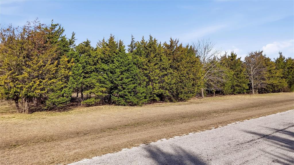 Brandon V Lake Living - Land